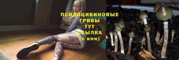 соль ск Абинск