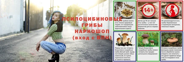 прущая мука Абаза